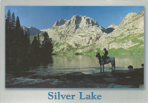 Silver Lake Horse Rider Postcard-QTY=50