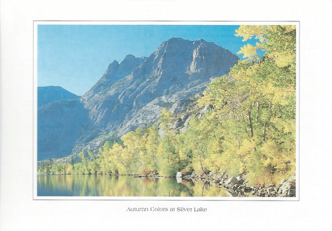Autumn Colors Silver Lake Postcard-QTY=50