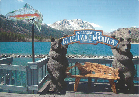 Gull Lake Bears Postcard-QTY=50