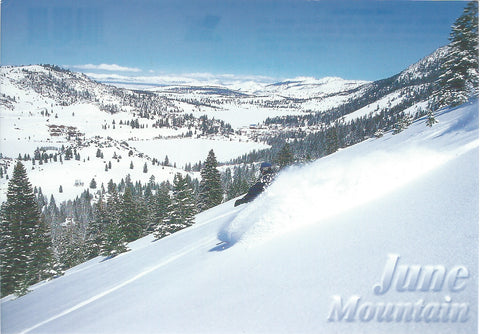 June Mountain Downhill Skiing Postcard-QTY=50