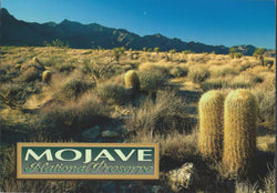 Mojave National Preserve Postcard-QTY=50
