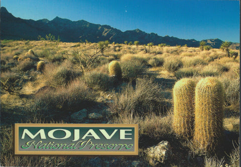 Mojave National Preserve Postcard-QTY=50