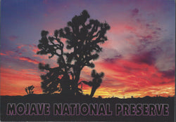 Mojave Sunset Postcard-QTY=50