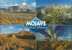 Mojave Collage Postcard-QTY=50