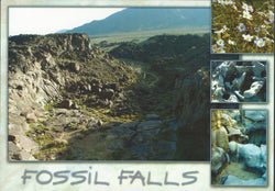 Fossil Falls Postcard-QTY=50