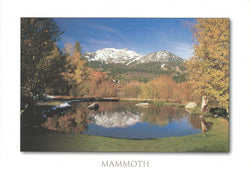 Mammoth Lakes Pond Postcard-QTY=50