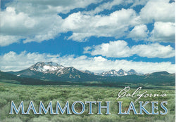 Mammoth Lakes Fields Postcard-QTY=50