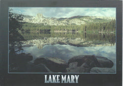 Lake Mary Black Postcard-QTY=50