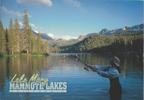 Lake Mary Fishing Postcard-QTY=50