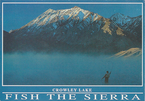 Fish The Sierra Mammoth Lakes Alternative Postcard-QTY=50