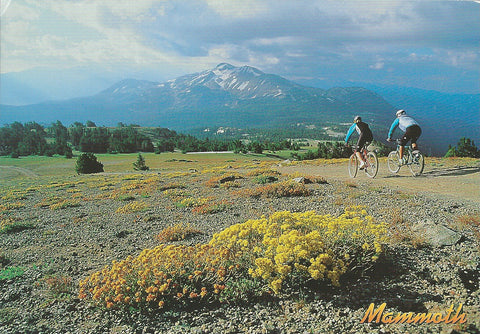 Mammoth Lakes Bikers Postcard-QTY=50