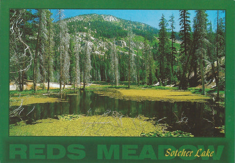 Reds Meadow Postcard-QTY=50