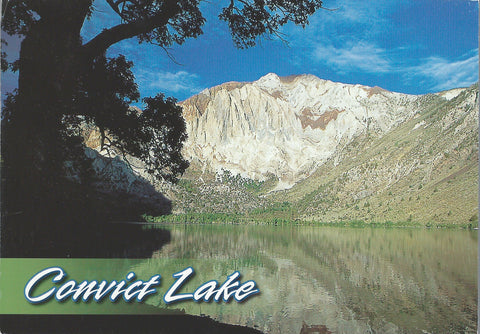 Convict Lake Mammoth Mountain Postcard-QTY=50