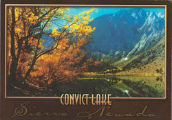 Orange Leaves Convict Lake Postcard-QTY=50