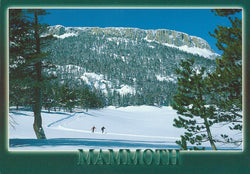 Mammoth Cross Country Skiing Winter Postcard-QTY=50