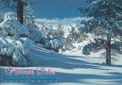 Mammoth Lakes Winter Snow Postcard-QTY=50
