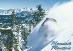 Mammoth Winter Snowboarder -QTY=50