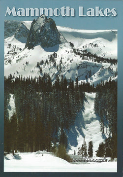 Mammoth Lakes Ski Trail Postcard-QTY=50