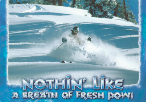 Fresh Powder Postcard-QTY=50