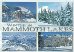 Mammoth Lakes Winter Collage Postcard-QTY=50