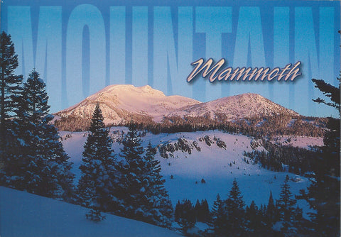 Mammoth Mountain Postcard-QTY=50