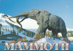 Woolly Mammoth Winter Statue Postcard-QTY=50