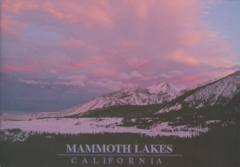 Mammoth Lakes Pink Winter Sky Postcard-QTY=50
