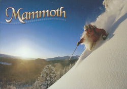 Mammoth Mountain Powder Postcard-QTY=50
