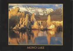 Mono Lake Reflection Postcard-QTY=50