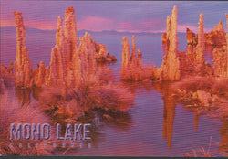 Mono Lake Orange Postcard-QTY=50