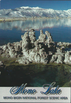 Mono Lake Winter Postcard-QTY=50