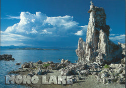 Mono Lake Afternoon Postcard-QTY=50