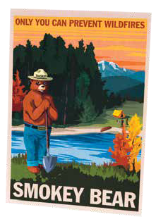 Smokey Retro Ranger Postcard-QTY=50