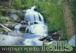 Mt. Whitney Falls Postcard-QTY=50