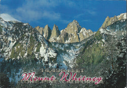 Mt. Whitney Elevation Postcard-QTY=50