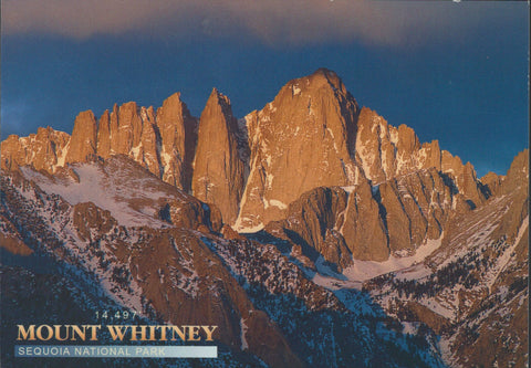 Mt. Whitney Sequoia National Park Postcard-QTY=50