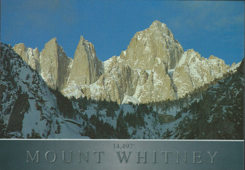 Mt. Whitney Shadow Postcard-QTY=50