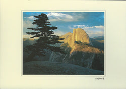 Yosemite Signature Postcard-QTY=50