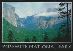 Yosemite National Park Black Postcard-QTY=50