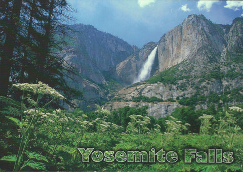 Yosemite Waterfall Postcard-QTY=50