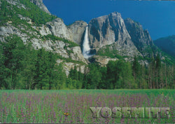 Yosemite Fields Postcard-QTY=50