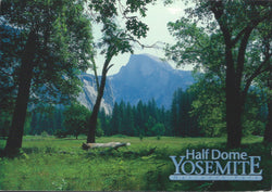 Yosemite Half Dome Distance Postcard-QTY=50