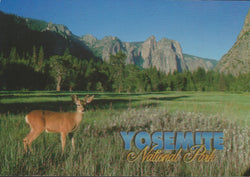 Yosemite Deer Postcard-QTY=50