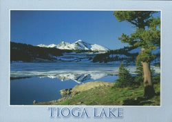 Tioga Lake Postcard-QTY=50