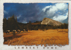 Lembert Dome Postcard-QTY=50
