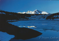 Frozen Tioga Lake Postcard-QTY=50
