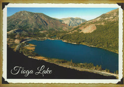 Tioga Lake Aerial Postcard-QTY=50