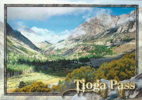 Tioga Pass Postcard-QTY=50