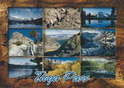 Tioga Pass Collage Postcard-QTY=50