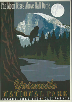 Retro Yosemite Postcard-QTY=50